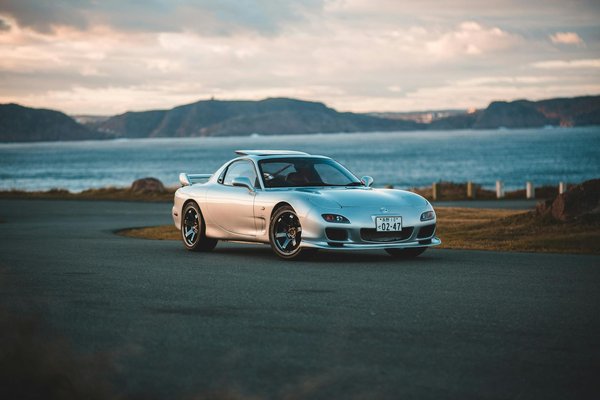 What Are the Best Cooling Strategies for Pets in Extremely Hot Climates?